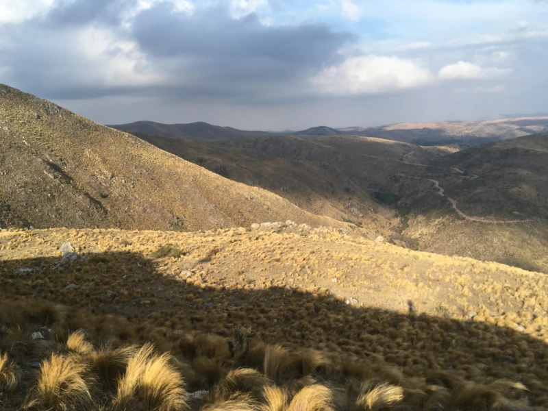 cordoba wind